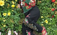 手机的秘密潘甜甜果冻传媒在线